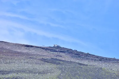 DSC_3652 (Large).JPG